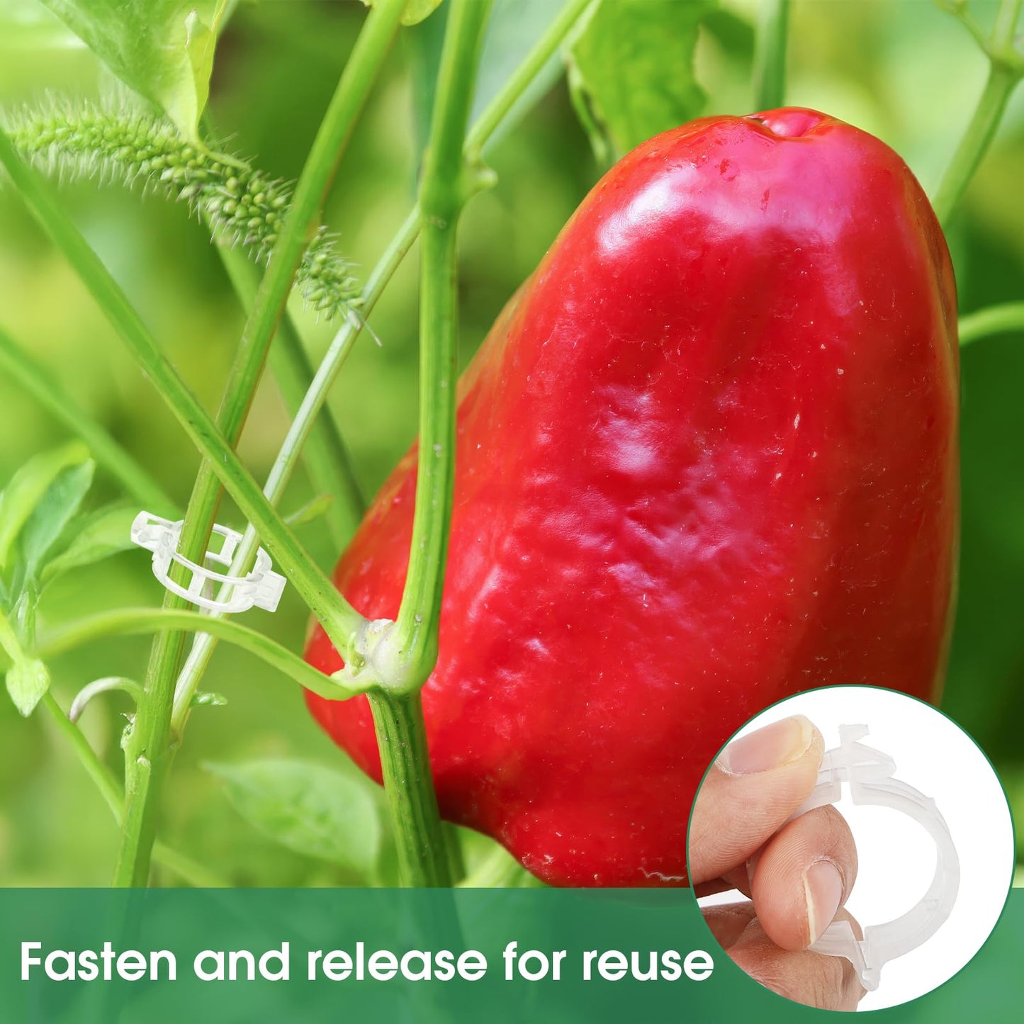 🔥🔥Last Day Sale Tomato Clips, Plastic Trellis Clips
